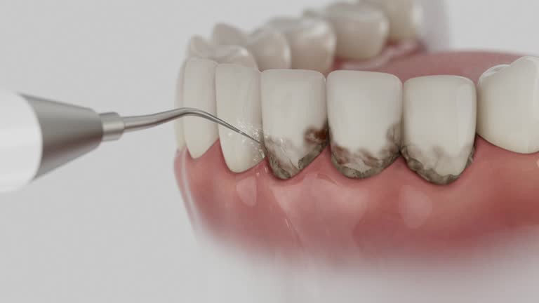 Reliable Dental contractor in Tuscola County County, MI by Dentist Open Now